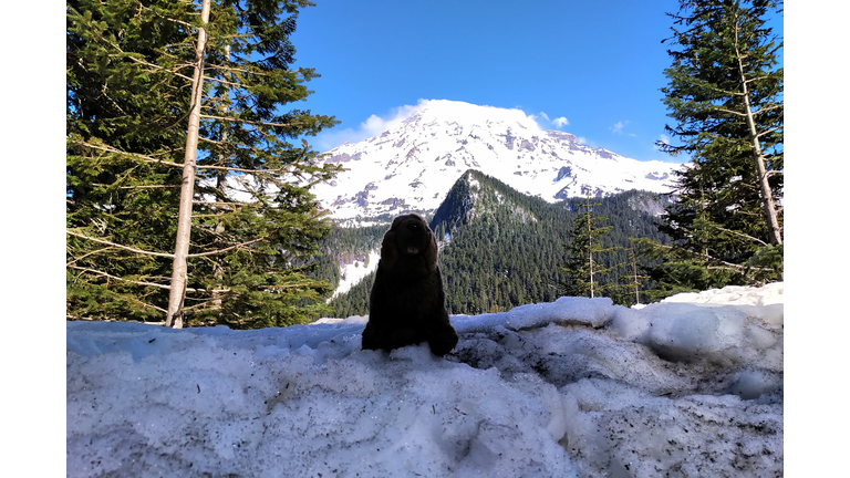 That's a big mountain