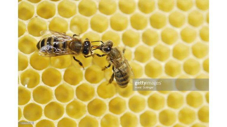 Getty Images