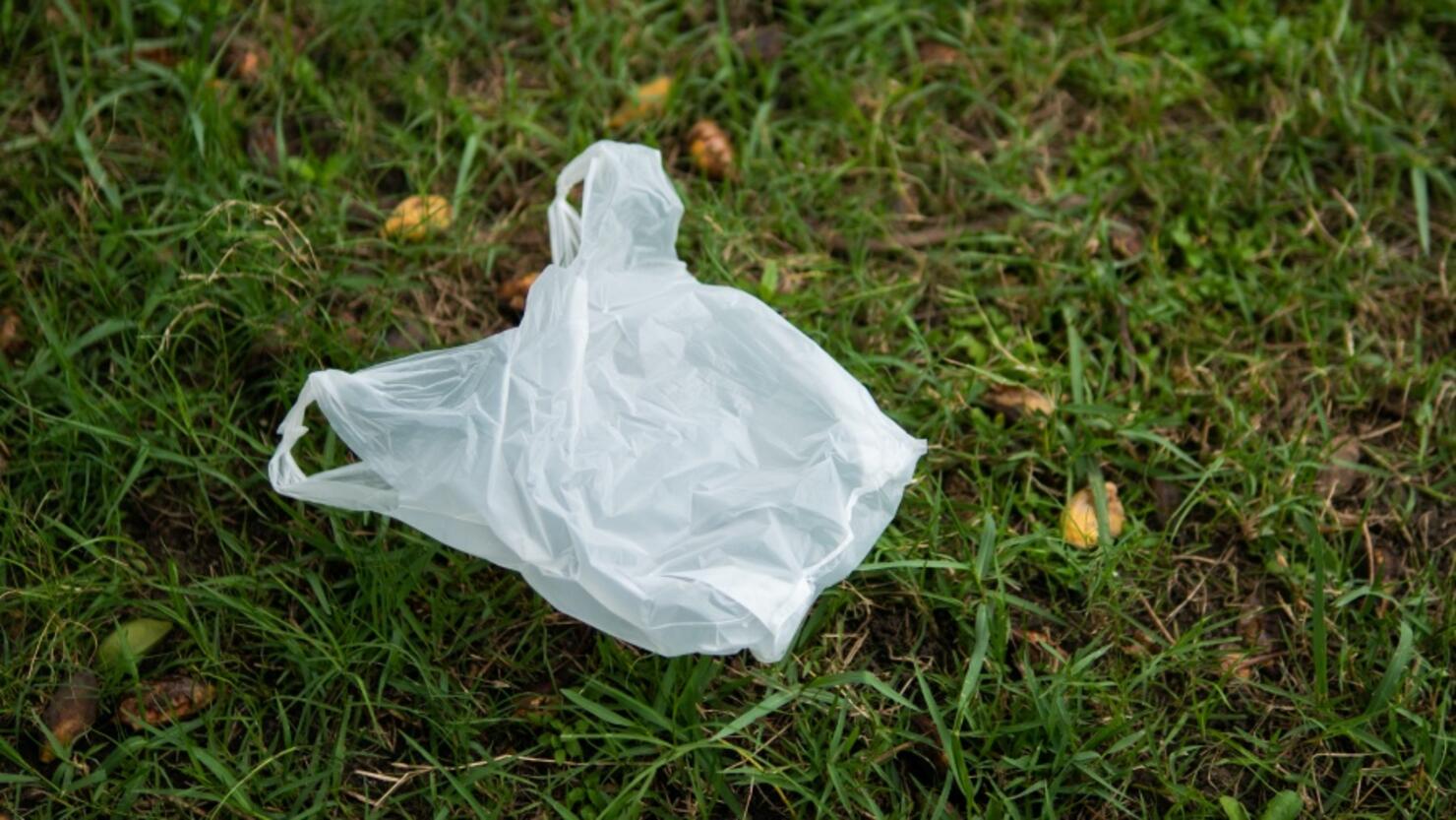 High Angle View Of Plastic On Grassy Field