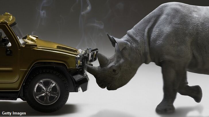 Video: Rhino Flips Car Containing Zookeeper at Safari Park in Germany