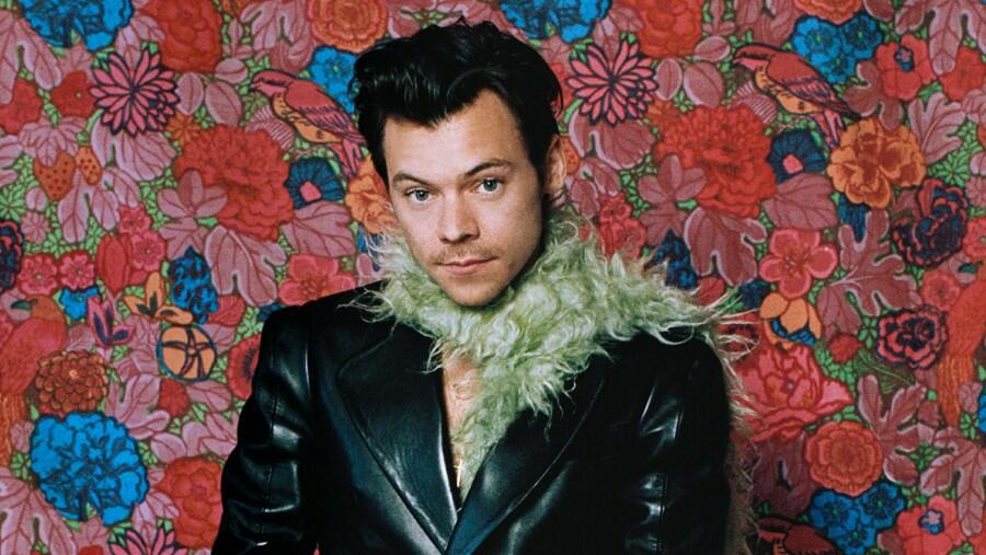 Harry Styles To Go Nude In Upcoming Film My Policeman Report Iheart