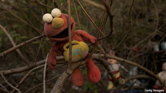 Watch: Hiker Finds Odd 'Elmo Tree'
