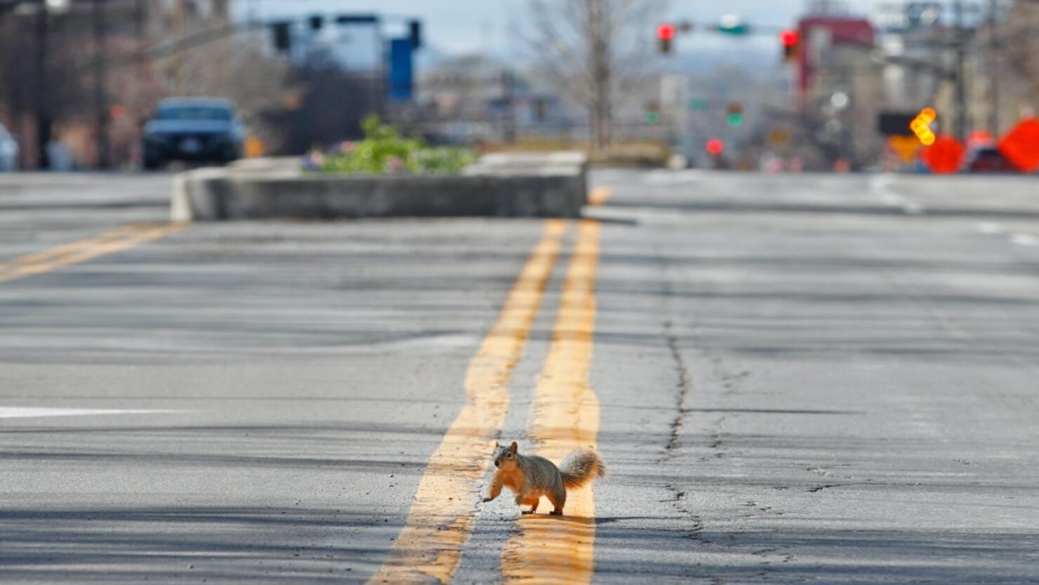 Salt Lake City wants to make section of Main Street permanently car-free -  Axios Salt Lake City