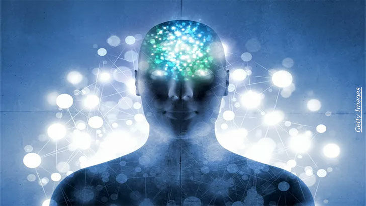 Processed Food & Pathologies / Soul Plans