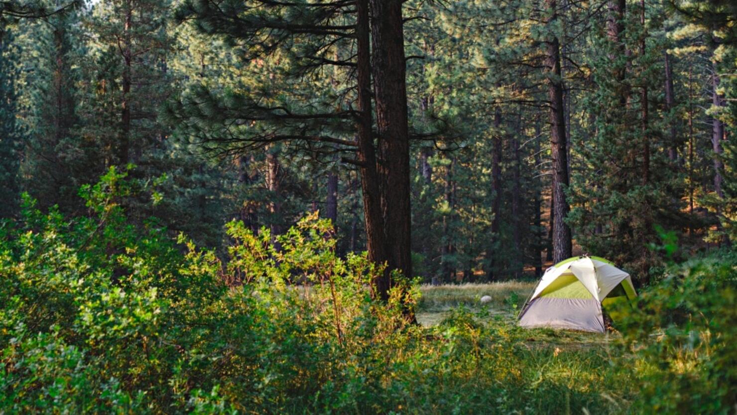 Tent in forest at Grover Hot Springs State Park