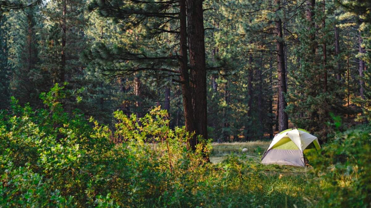 NYS Offering Loyalty Program For State Campgrounds 570 WSYR