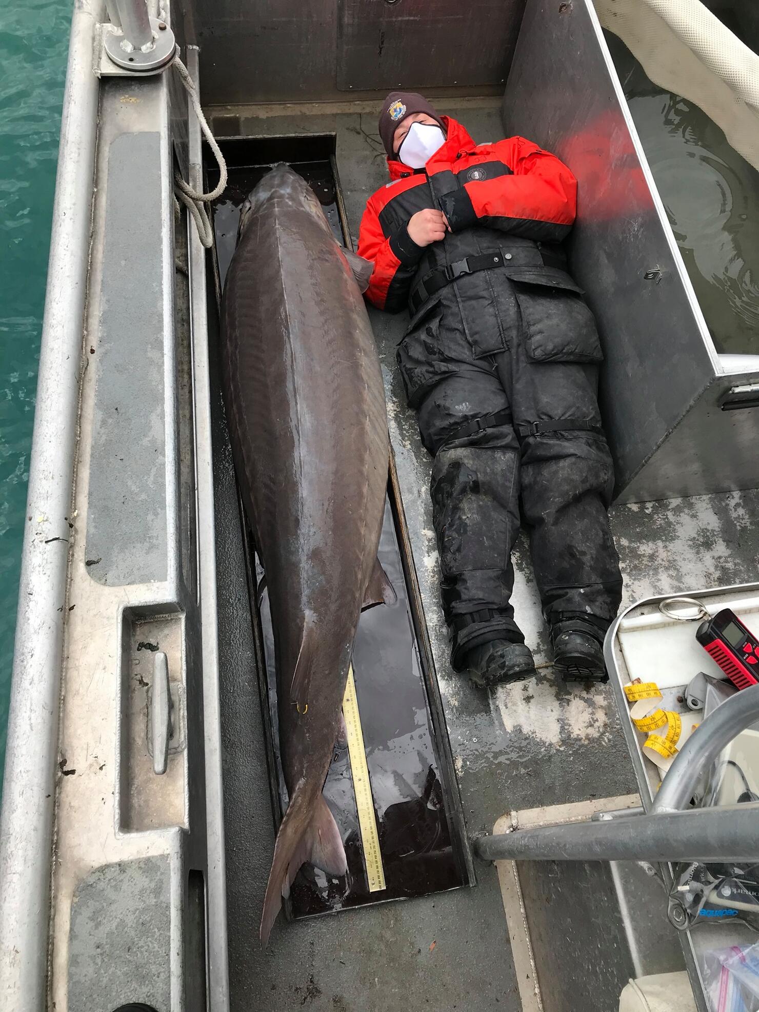 Viral Facebook Post Shows Whopping 240-Pound 'River Monster' In Michigan | iHeartRadio