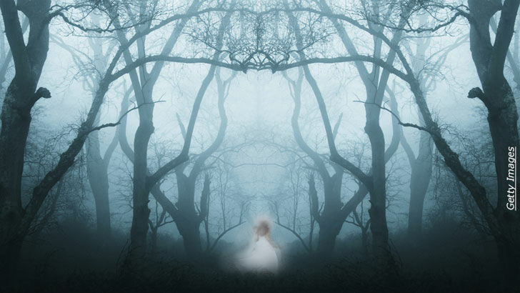 Spirit Guide: Francine