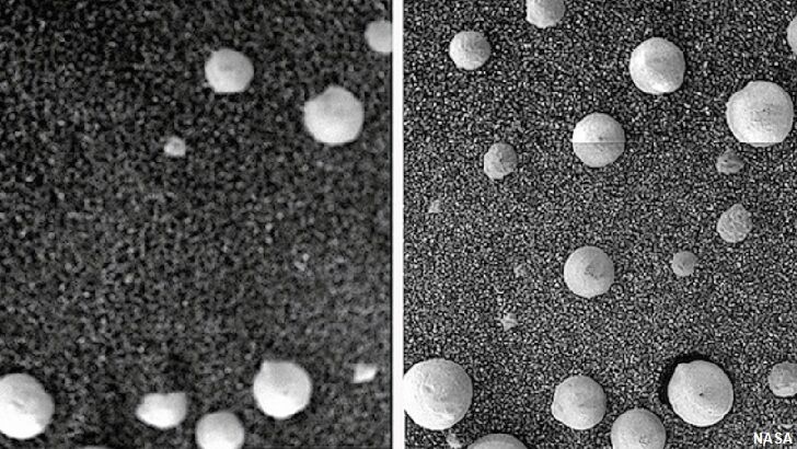 Study Suggests Mushrooms Grow on Mars