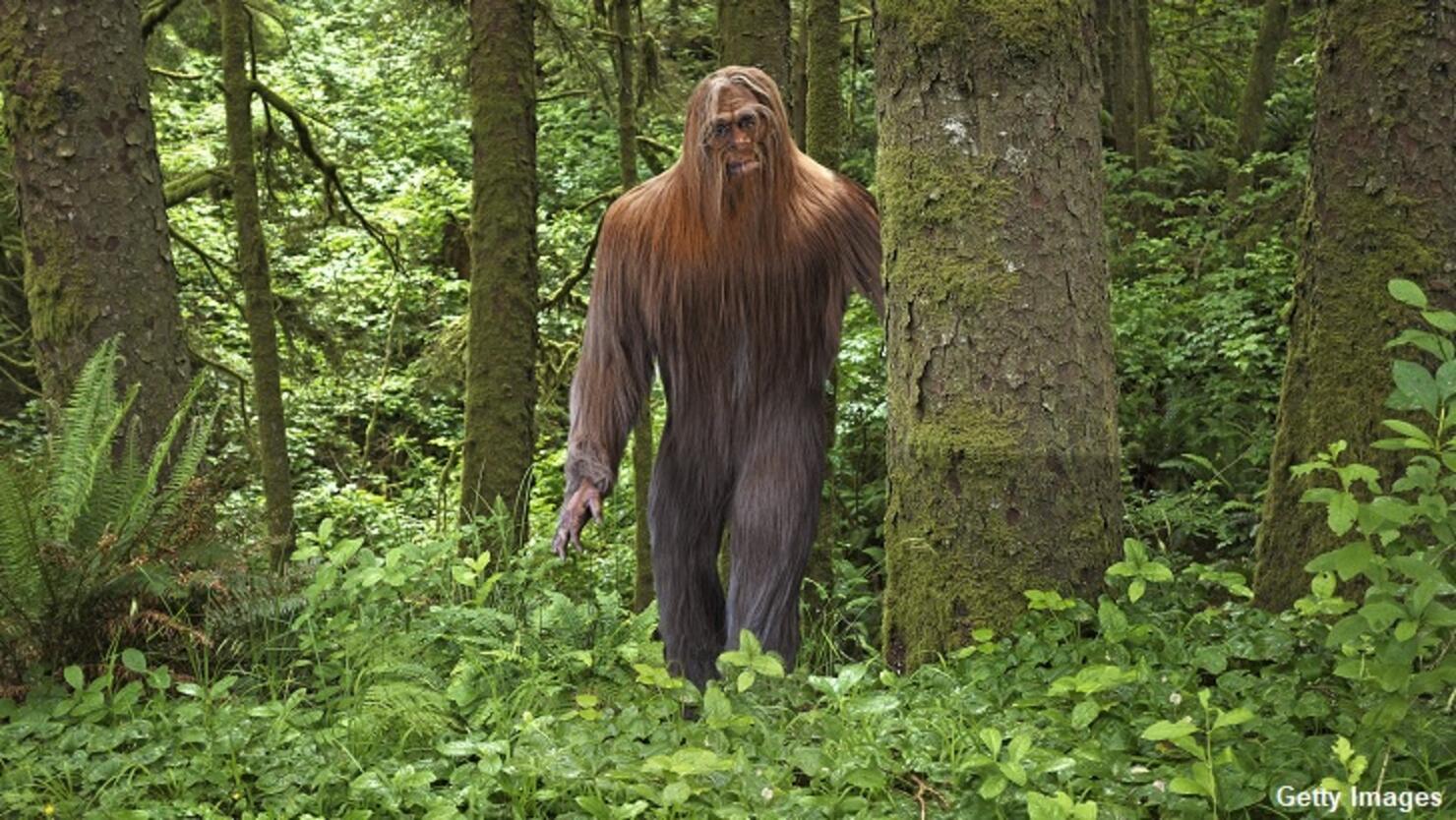 Hudson Valley Woman Reports Series of Strange Sasquatch Sightings iHeart