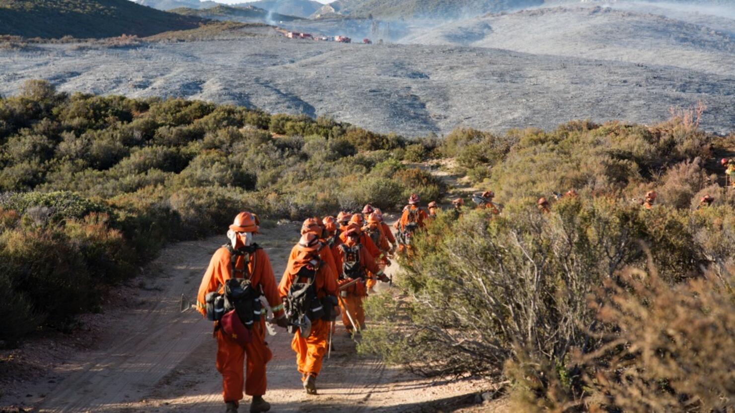 Hand crew on a brush fire