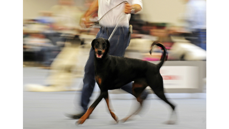 (Photo credit should read CLEMENS BILAN/DDP/AFP via Getty Images)