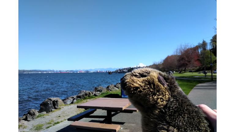 Hello Rainier!