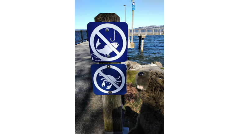 Hmmm...I don't think I like this sign