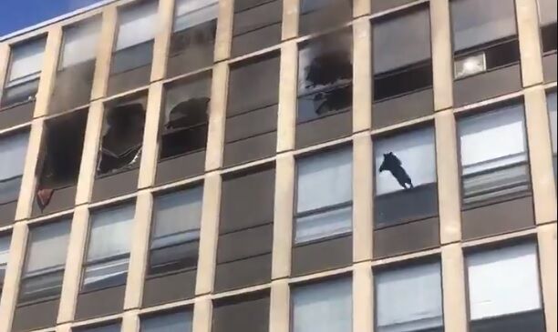 Chicago Fire Department Video 