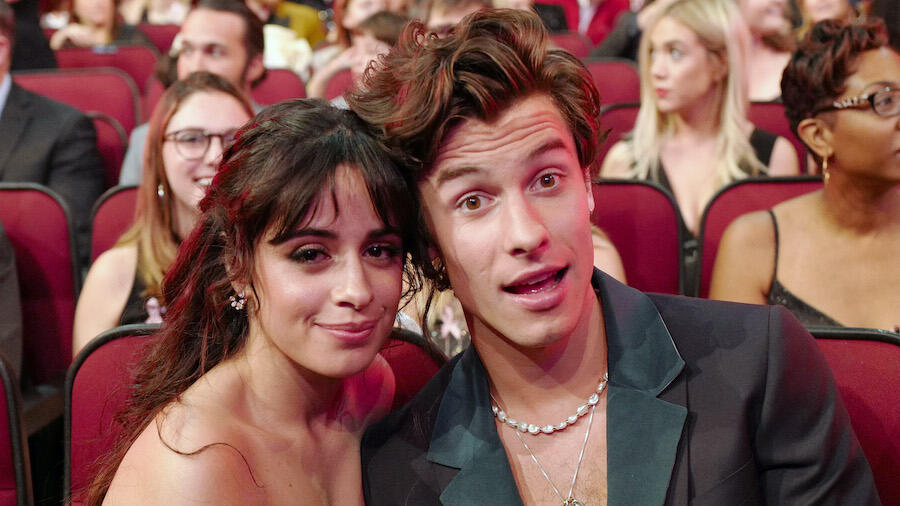 Shawn Mendes And Camila Cabello Launch Mental Wellness Collab With Calm