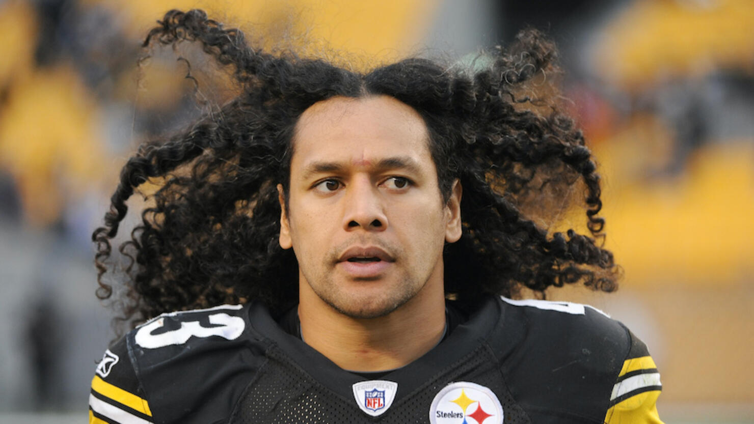 PHOTOS: Steelers in the HOF - Troy Polamalu