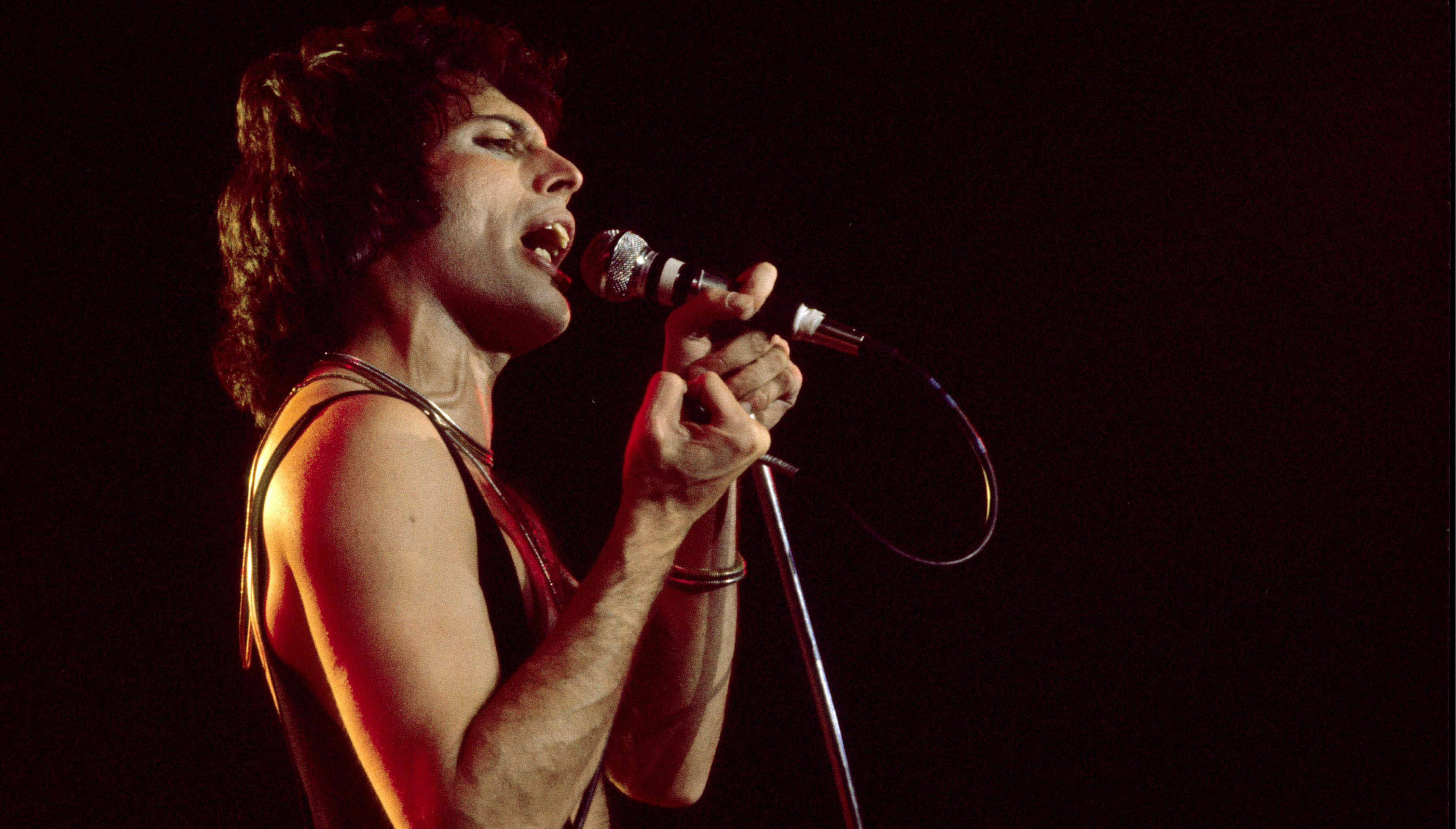 Queen Looks Back On Its First 'Greatest Concert,' Hyde Park In 1976 ...