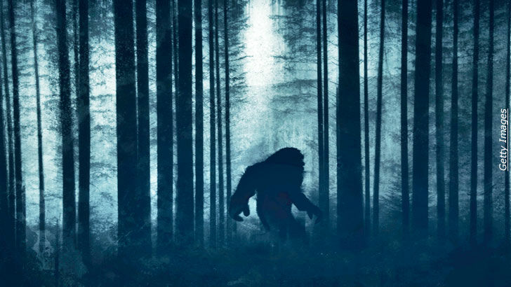 Bigfoot Research / Open Lines