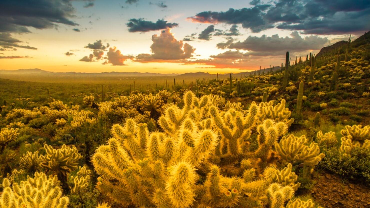 Warmest Climate In New Mexico