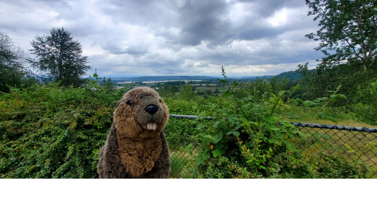 What a view!  And the scenery is nice too