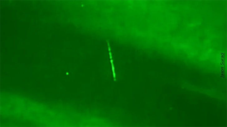Watch: Strange Object Captured on Night Vision 