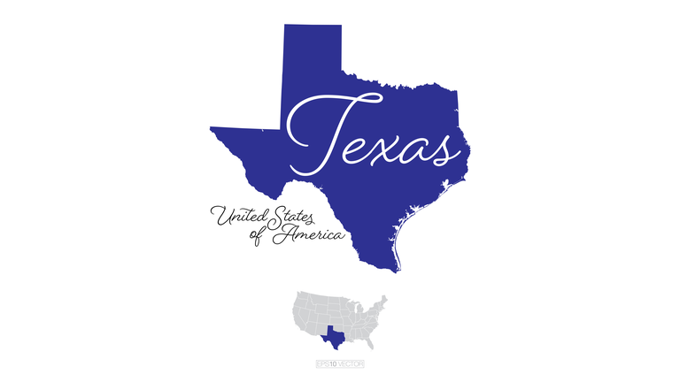 Texas USA Vector Map Illustration