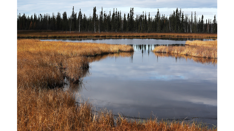 Trans Alaska Pipeline Serves As Main Artery For Alaska's North Slope Oil Fields