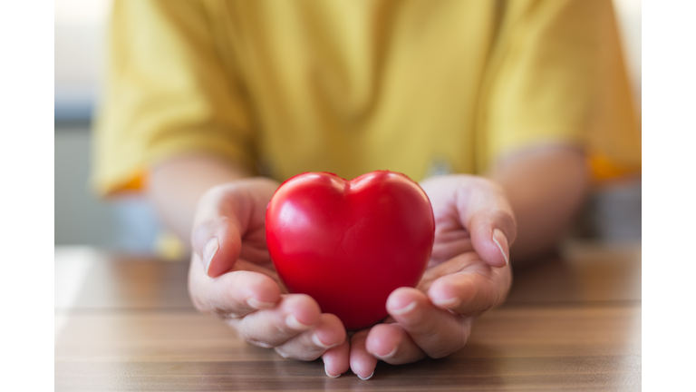 Women hand holding heart, heart disease concept