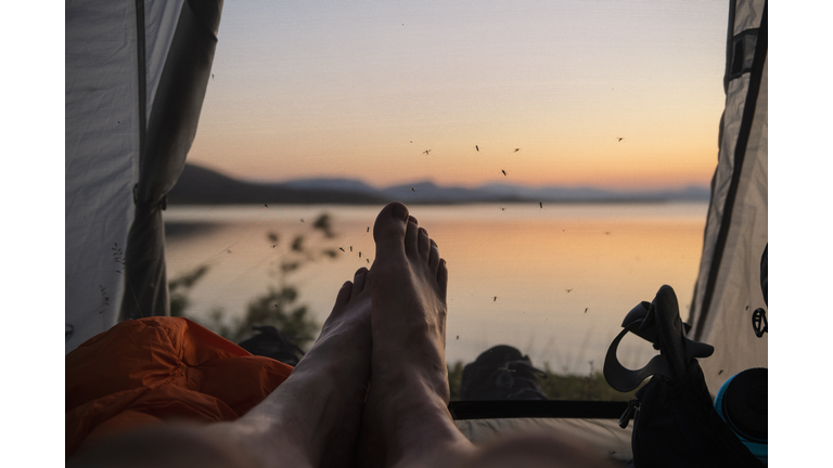 GETTY IMAGES: Feet of male hiker inside tent with mosquitos waiting on mesh doorway