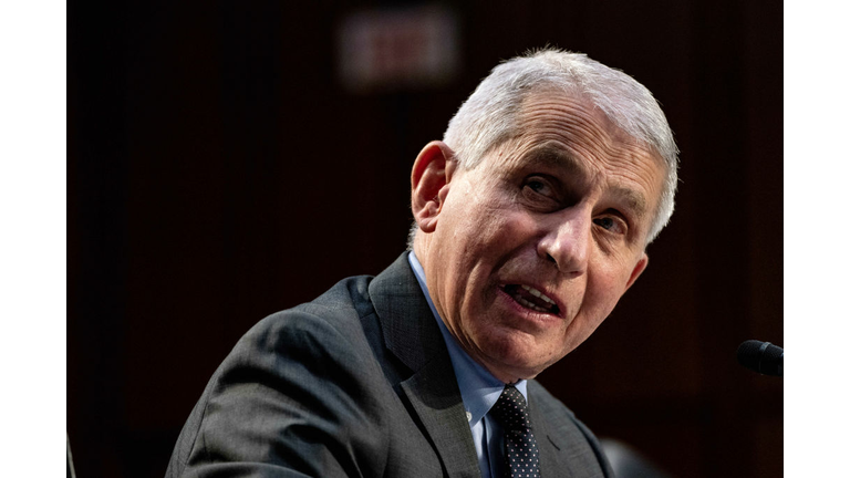 Dr. Fauci Testifies Before Senate Committee On Federal Response To COVID-19