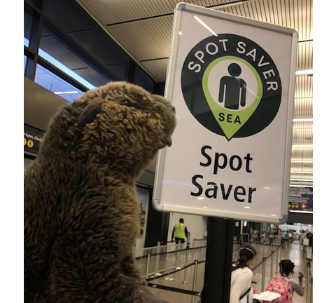 Who is Spot?