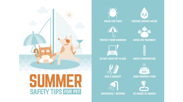 infographics about safety tips for pet during summer