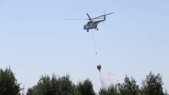 'Beyond Rare': Nevada Hauling Massive Amounts Of Water For Wildlife