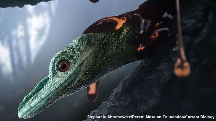 Tiny 'Dinosaur' is Actually Ancient Lizard