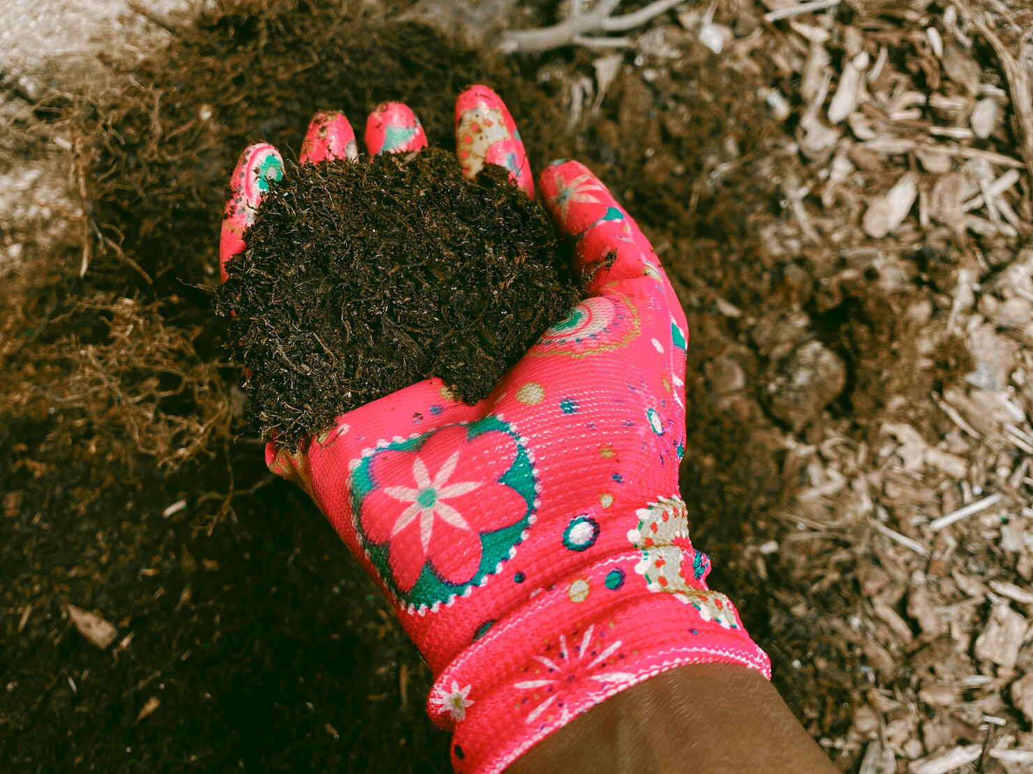 Woman in Garden Holds Handful of Soil