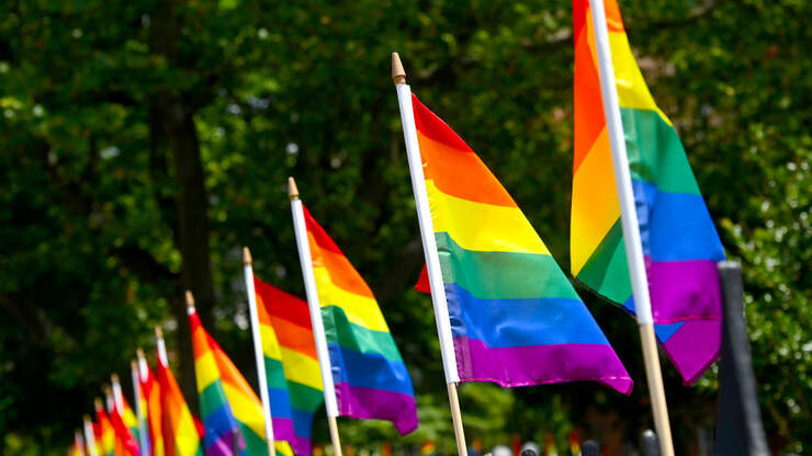 Inspiring Story About the Original Pride Flag That Made Its Way to a ...