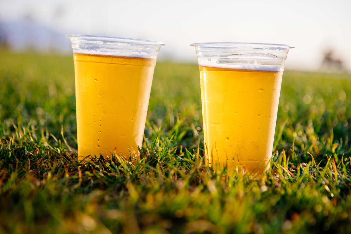 Cold beer on grass