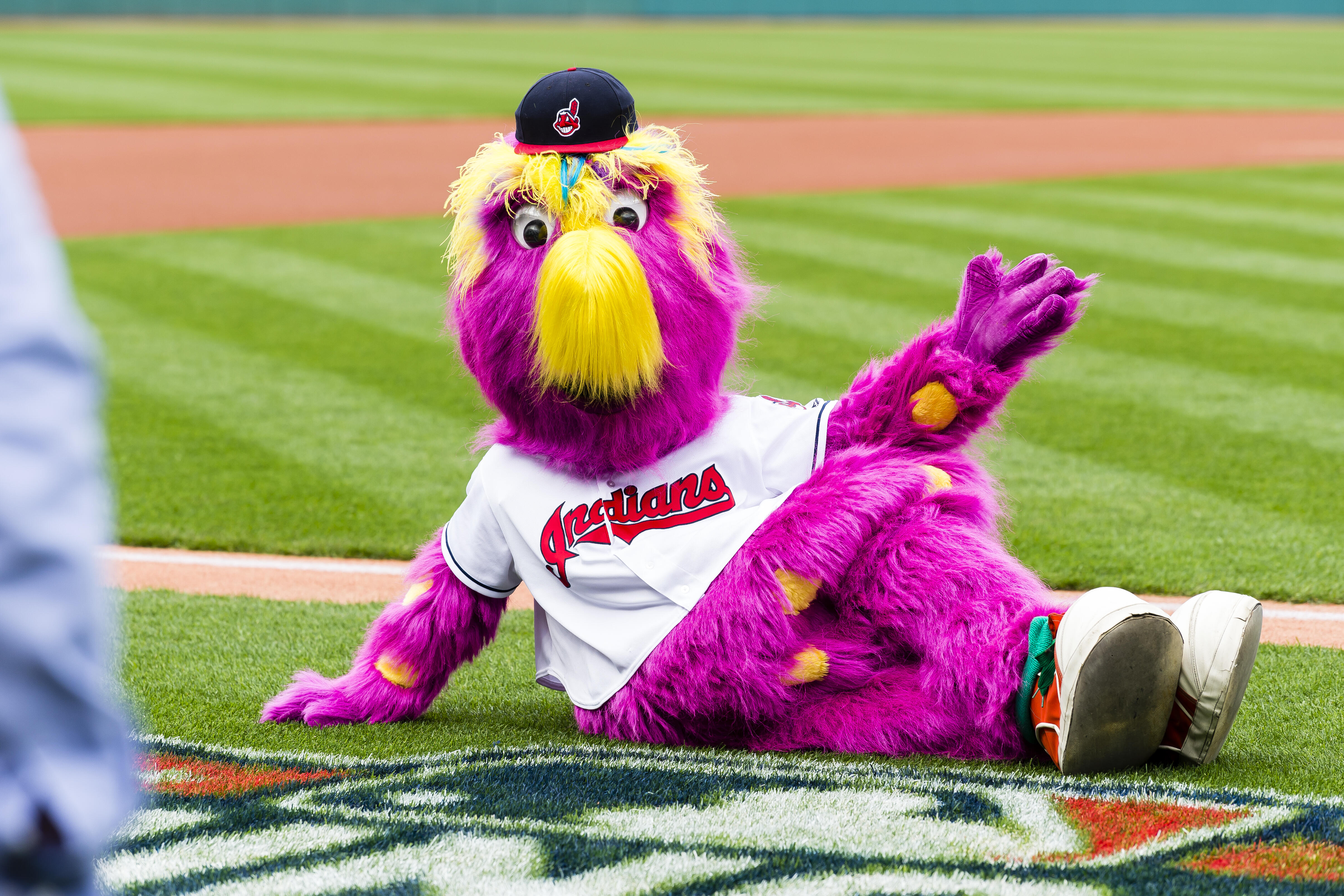 CLEVELAND, OH - MAY 13: Cleveland Indians mascot Slider has his mascot  mother on the field prior to the Major League Baseball game between the  Kansas City Royals and Cleveland Indians on