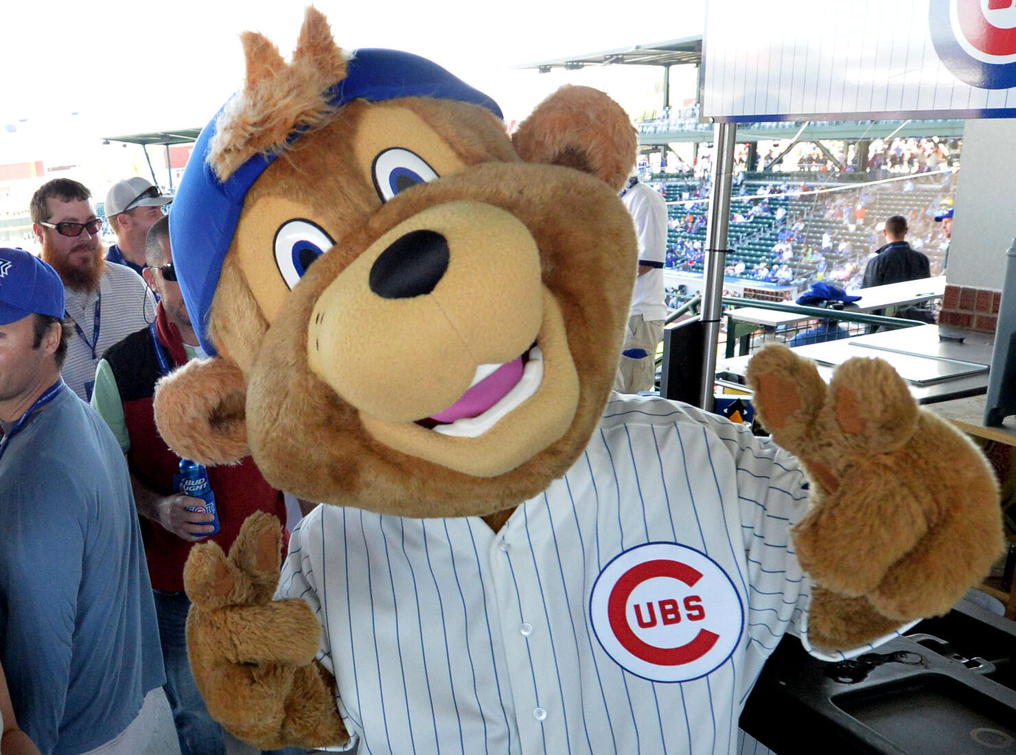 Clark the Chicago Cubs mascot greets fans before the start of the Cubs spring training game against the Oakland Athletics at Sloan Park in Mesa, Ariz., on Thursday, March 5, 2015. (Doug Duran/Bay Area News Group)