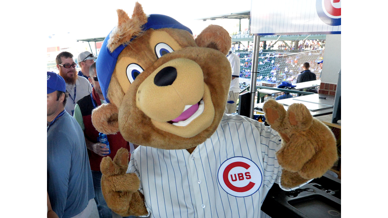 Clark the Chicago Cubs mascot greets fans before the start of the Cubs spring training game against the Oakland Athletics at Sloan Park in Mesa, Ariz., on Thursday, March 5, 2015. (Doug Duran/Bay Area News Group)