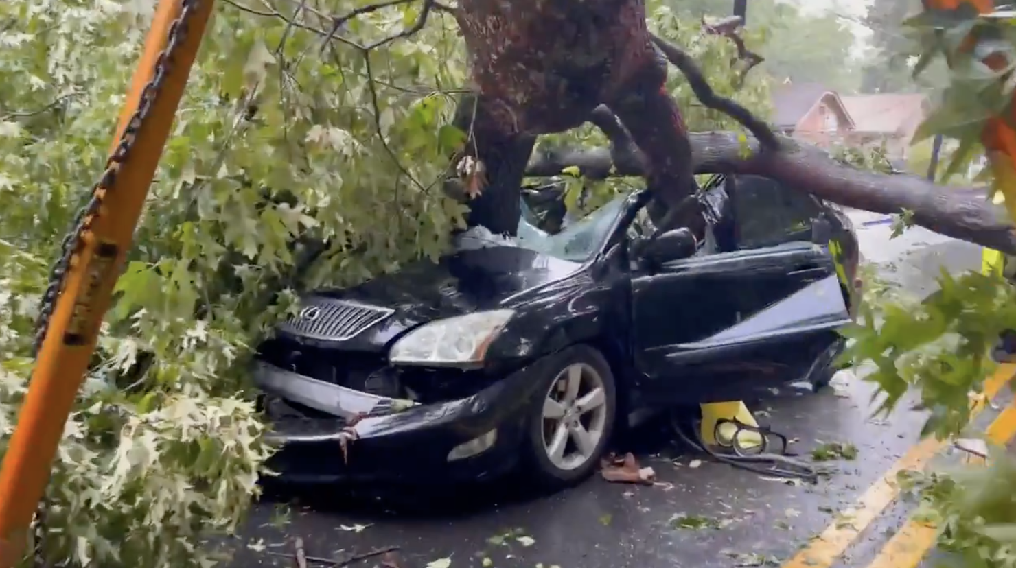 Video Shows Aftermath Of Massive Oak Tree Smashing Into Car In Georgia ...