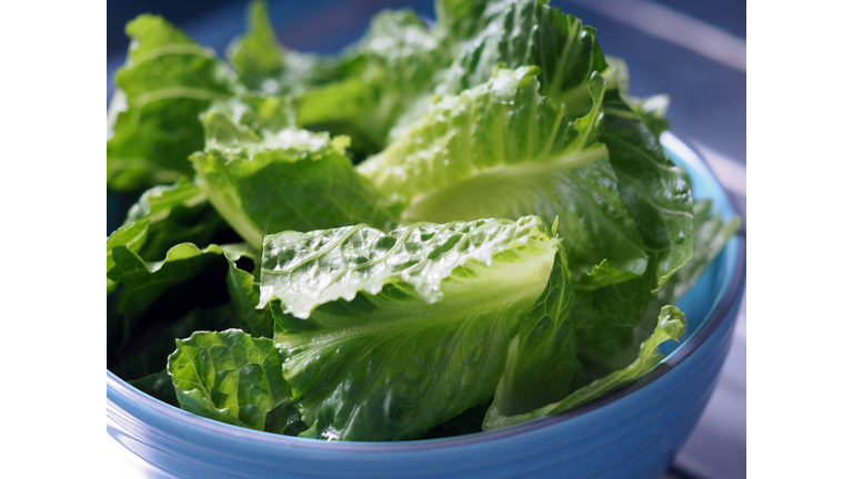 Green salad cos romaine lettuce sliced