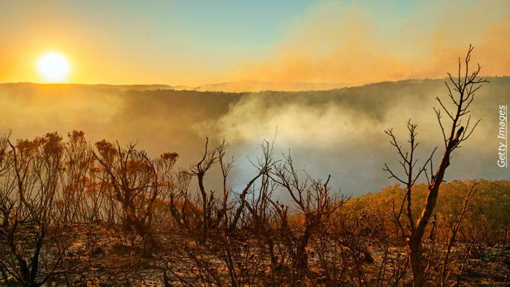 Global Warming & Planetary Health