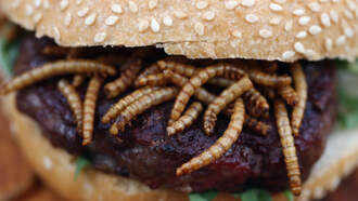 Burger Chain Awarded $80K After Ex-Employee Said She Found Worms In Burger