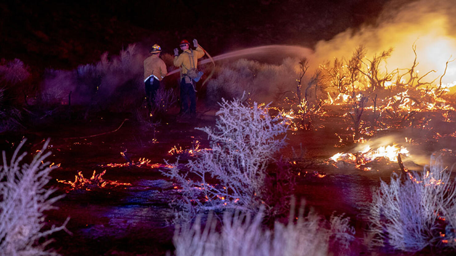 Firefighting Monks Join The Effort To Fight The Willow Fire In Big Sur |  iHeartRadio