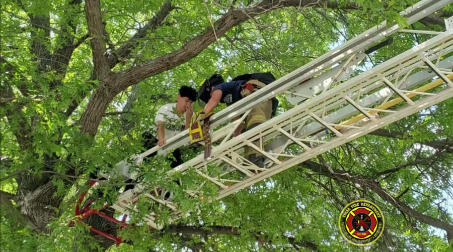 Oklahoma Cat Owner Gets Stuck In A Tree, Rescued By Fire Department