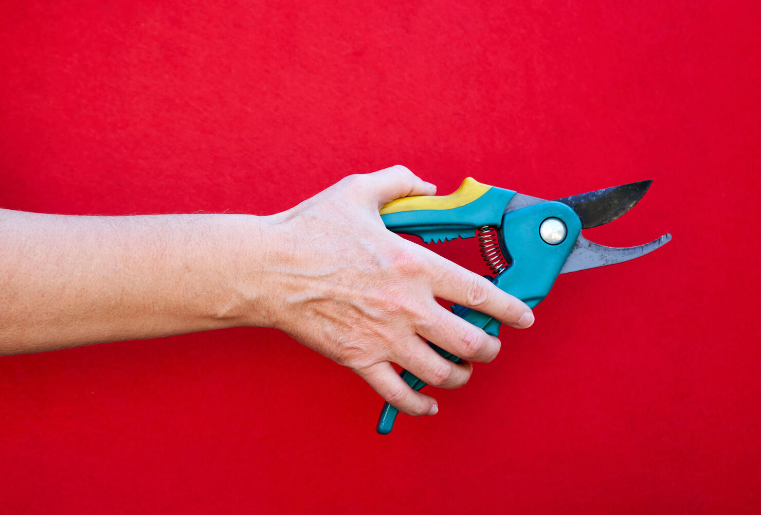 Garden pruner in caucasian hand isolate on red background