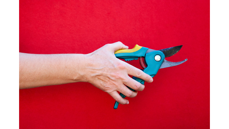 Garden pruner in caucasian hand isolate on red background