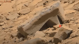 Mary Joyce Images 7/3/21